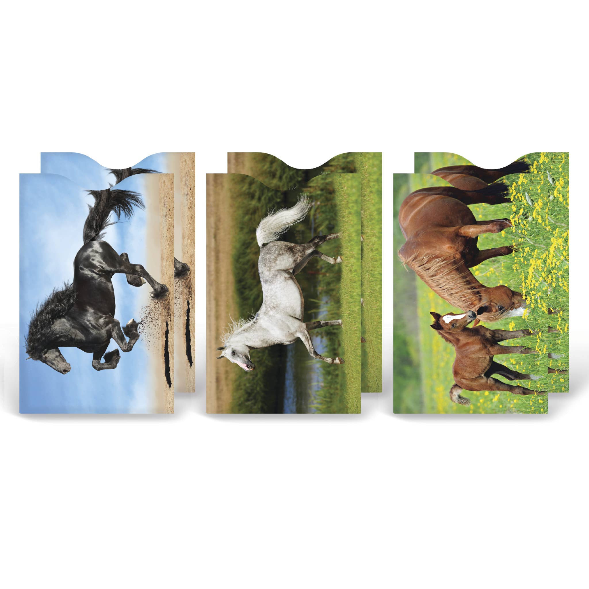 horse card sleeves Monarque Set Of 6