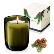 Frasier Fir 6.5 Oz. Pine Needle Candle