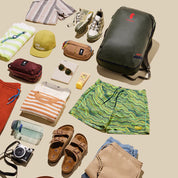 Cotopaxi Allpa 35L Travel Pack - Woods