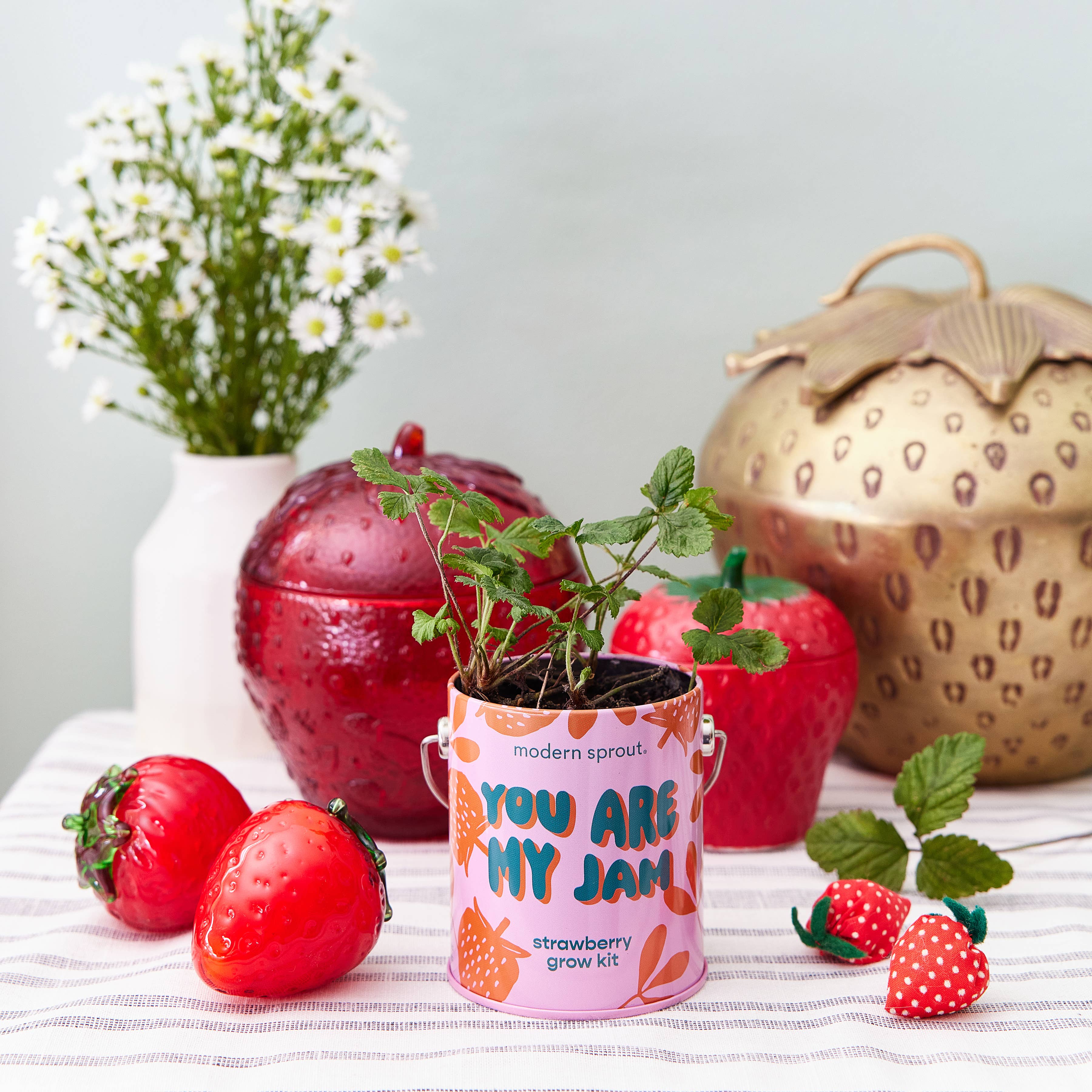 Modern Sprout Grow Kit Planters - You are My Jam Strawberry