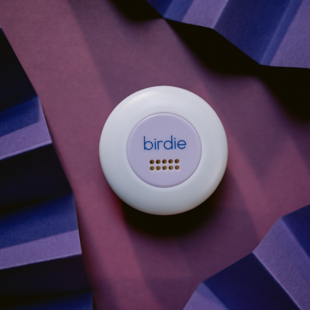 She's Birdie Disc LED Light and Siren - Lavender