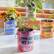 Modern Sprout Grow Kit Planters - You are My Jam Strawberry