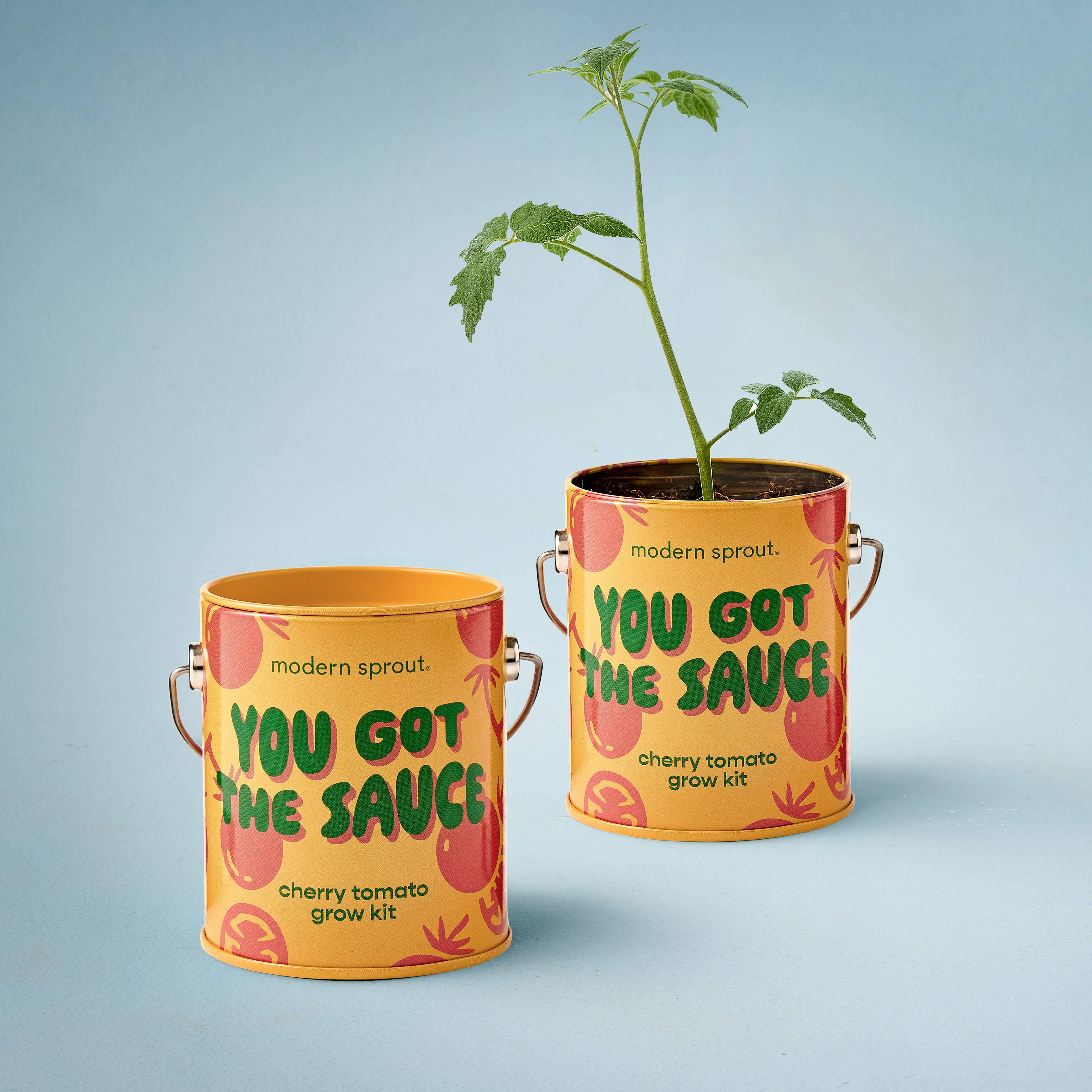 Modern Sprout Grow Kit Planters - You Got the Sauce Cherry Tomatoes