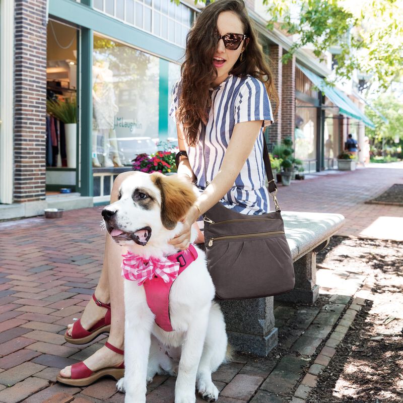 Travelon Anti-Theft Signature 3 Compartment Crossbody - Smoke