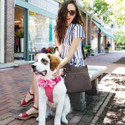 Travelon Anti-Theft Signature 3 Compartment Crossbody- Nutmeg