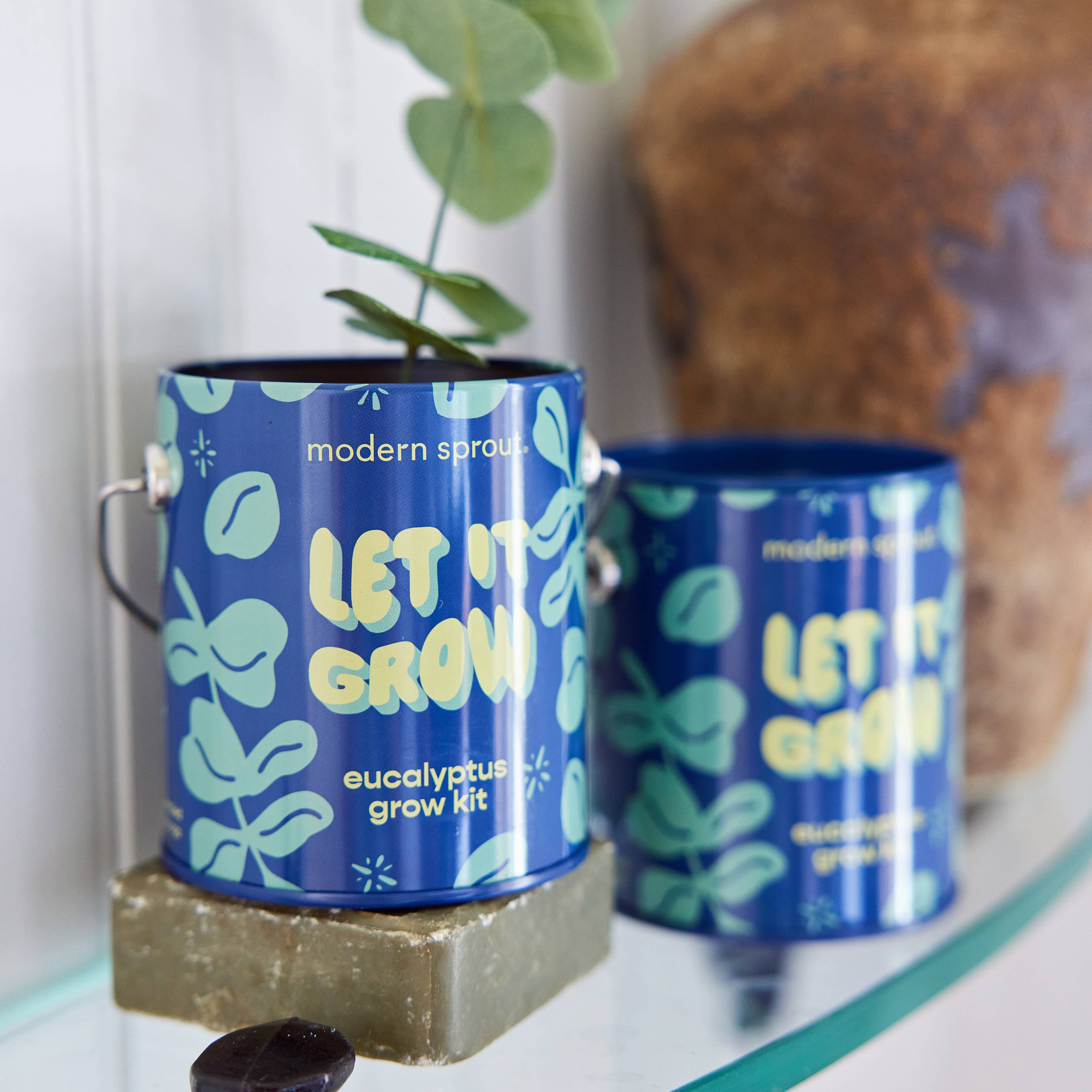 Modern Sprout Grow Kit Planters - Let It Grow Eucalyptus