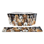 Modgy Expandable - Good Dog Dog Bowls