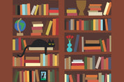 Micro Puzzles Bookcase