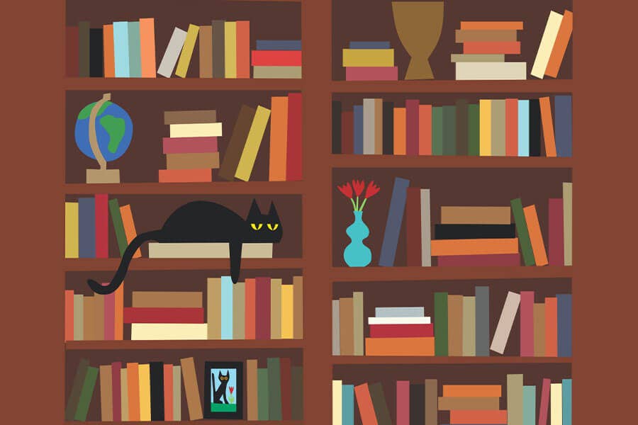Micro Puzzles Bookcase