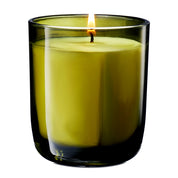 Frasier Fir 6.5 Oz. Pine Needle Candle