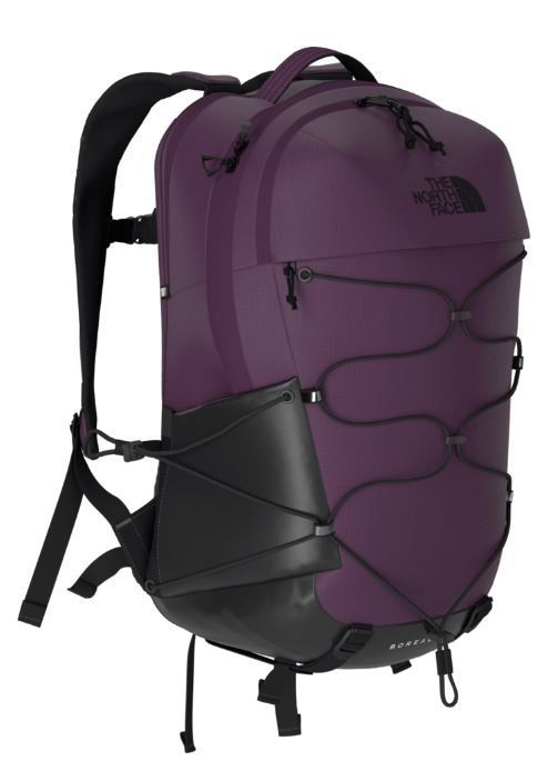 The North Face Borealis Laptop Backpack - Blackberry/TNF Black
