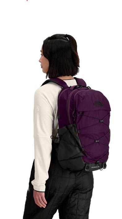 The North Face Borealis Laptop Backpack - Blackberry/TNF Black