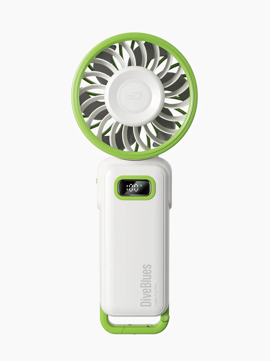 DiveBlues Turbo Wind Handheld Fan, Blow Dryer Power - White/Green