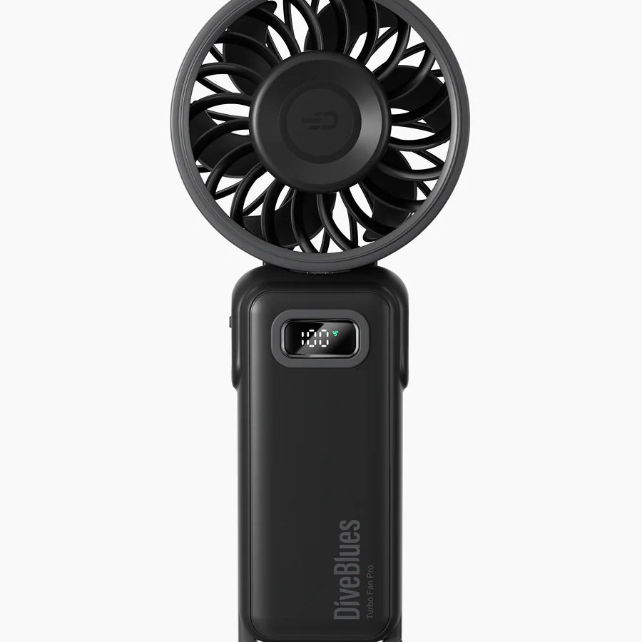 D6036-black.webp