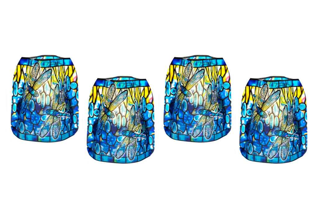 DragonflyMockup6LReditWeb_2000x