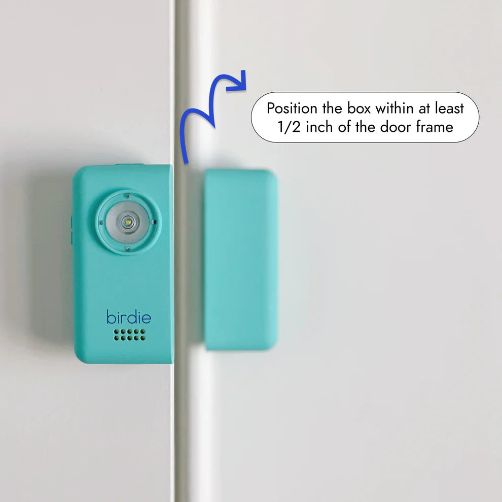 She's Birdie Birdie Box - Blossom