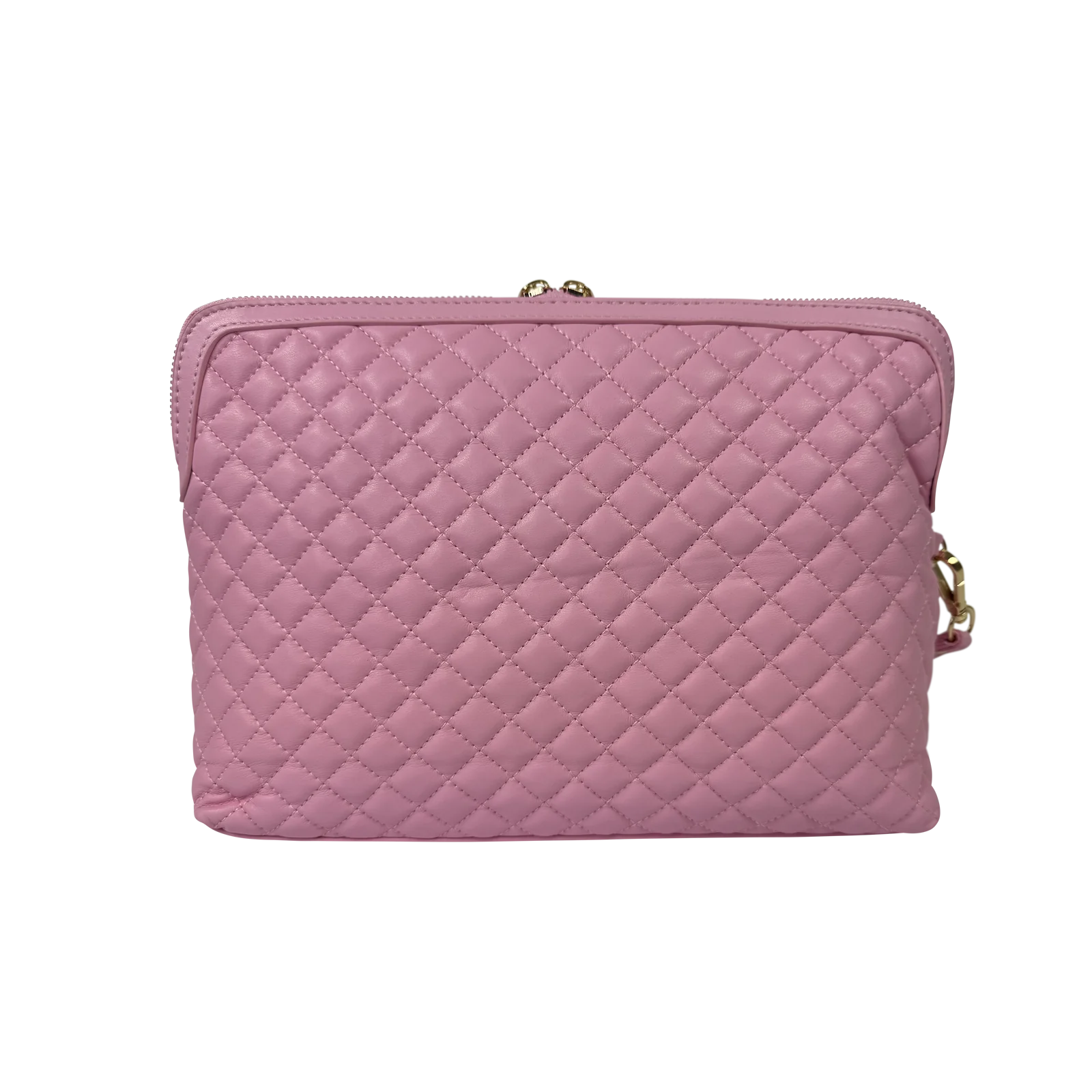 PurseN NEW Updated Litt Makeup Case - Rose Quartz