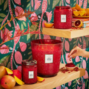 Voluspa 18 oz Large Jar Candle - Goji Tarocco Orange