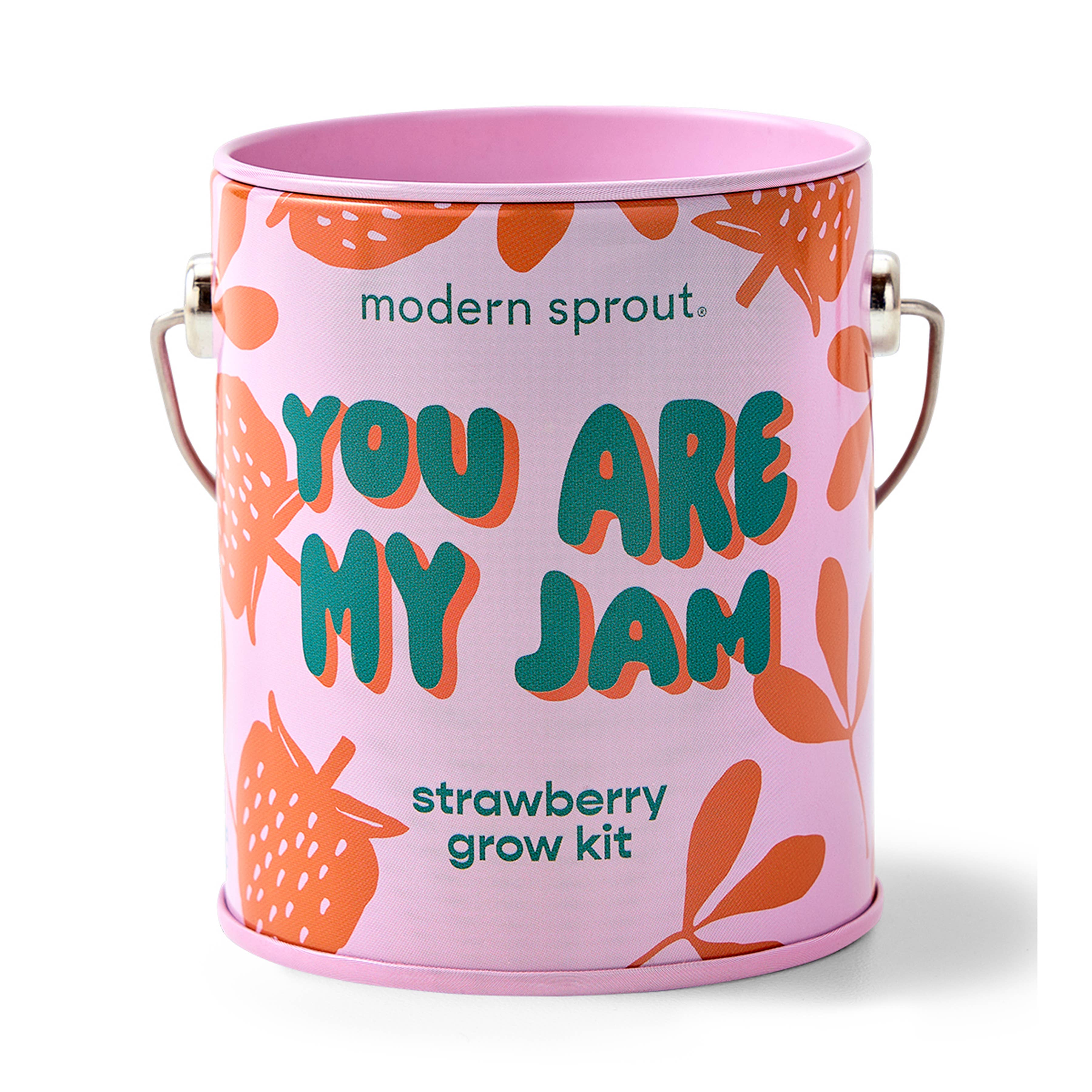 Modern Sprout Grow Kit Planters - You are My Jam Strawberry