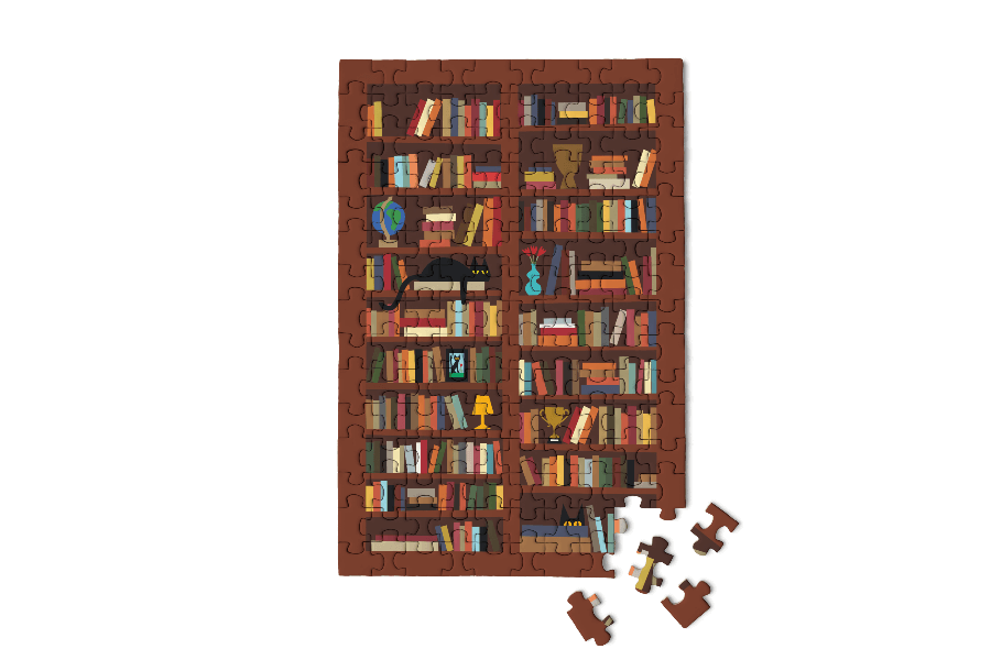 Micro Puzzles Bookcase