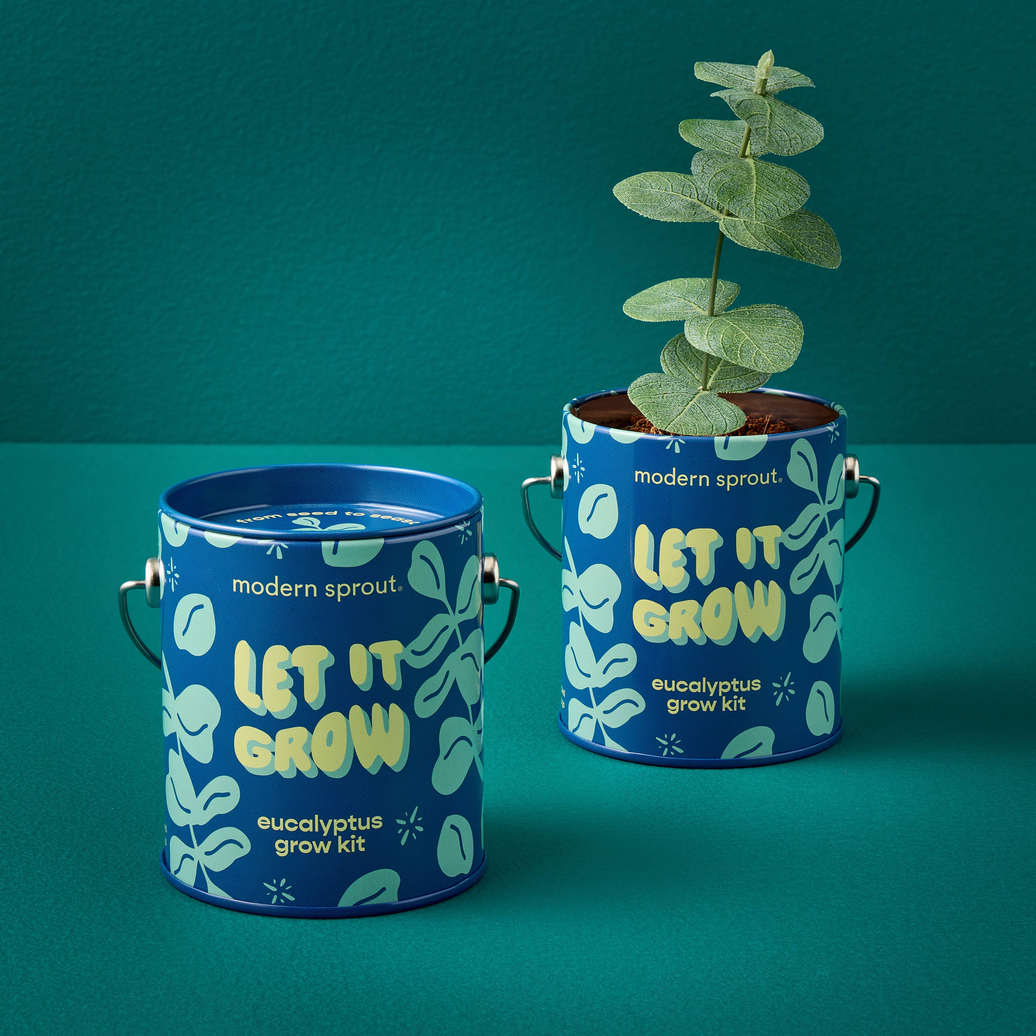 Modern Sprout Grow Kit Planters - Let It Grow Eucalyptus