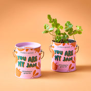 Modern Sprout Grow Kit Planters - You are My Jam Strawberry
