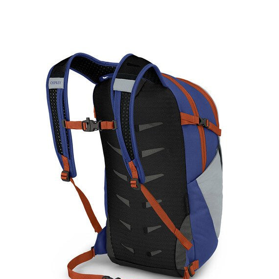 dayltpluss21_s23_sideback_silverliningblueberry