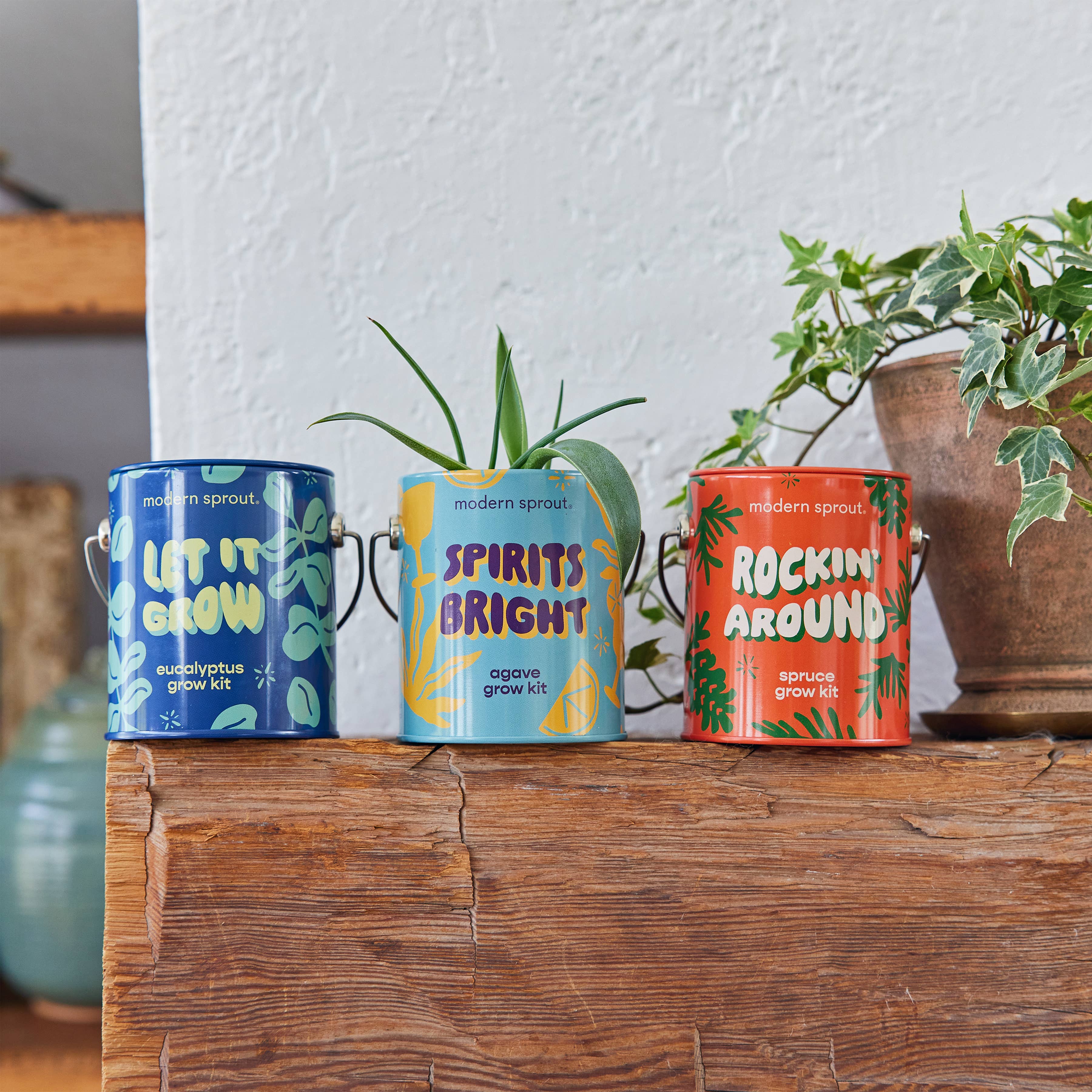 Modern Sprout Grow Kit Planters - Let It Grow Eucalyptus