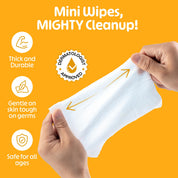 Fomin Travel Size Hand Sanitizer Wipes - Basil Mandarin