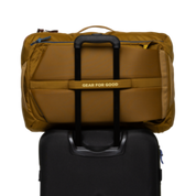 Cotopaxi Allpa 35L Travel Pack - Bronze