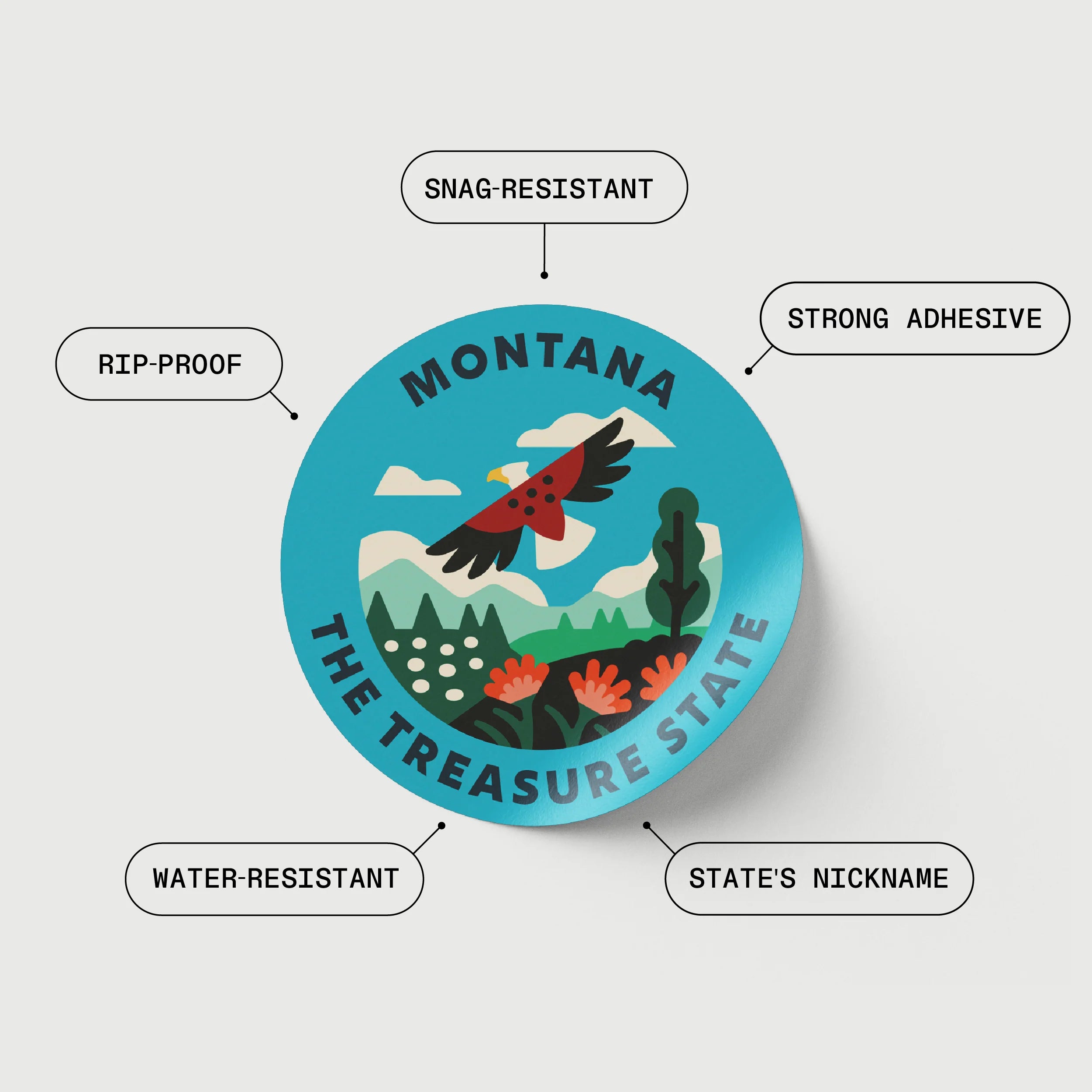 The Geoproject Fifty States Insulated Sticker Bottle - Coal